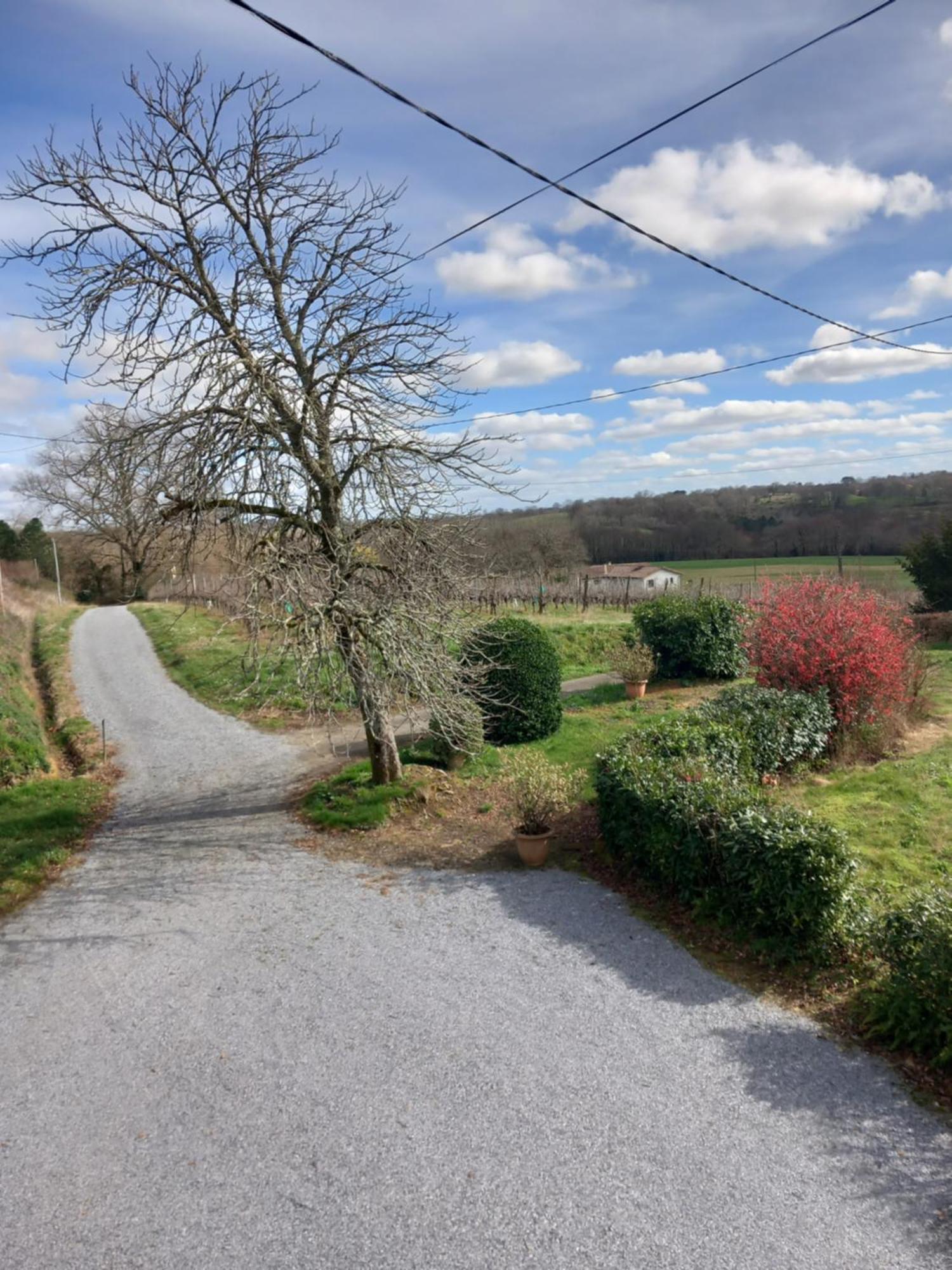 Maison De Campagne Les Chenes. Panjas Exteriör bild